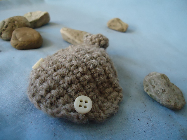 mini ray