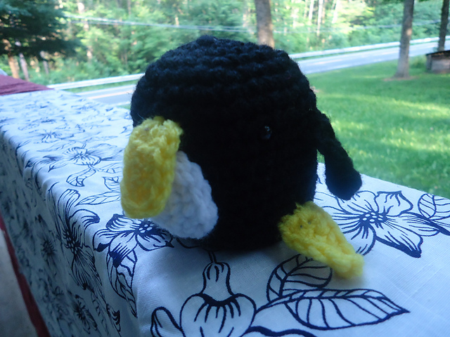Amazing Penguin!