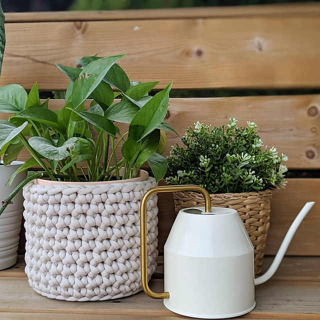 Beginner Plant Cover
