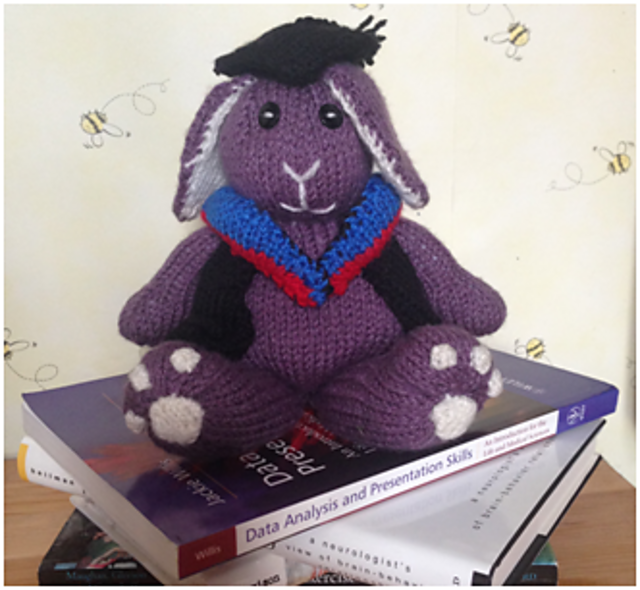 Graduate Bunny