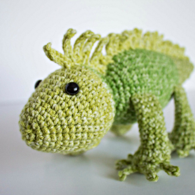 Iggy the Iguana