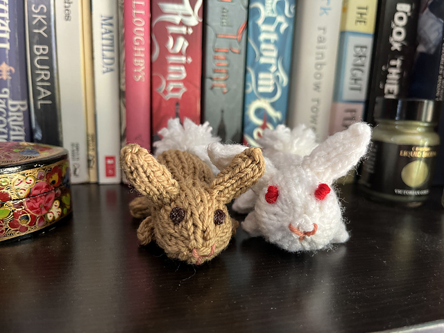 Miniature Bunny