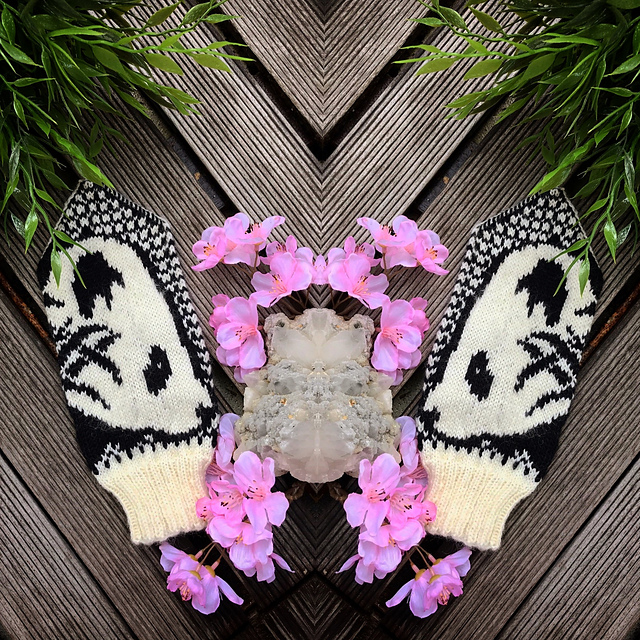 Da Xiong Mao Mittens