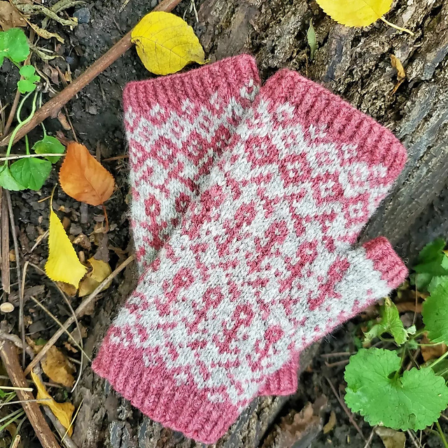 Winter's Rose