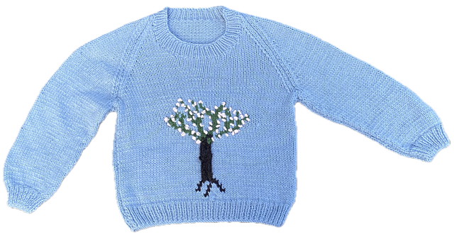David Hockney Child Jumper