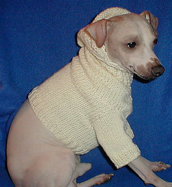 Basic Hound Hoodie