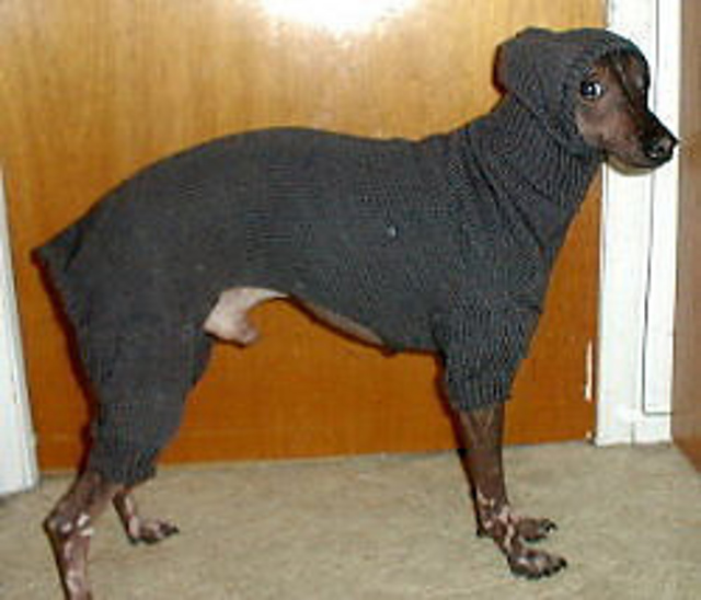 Egyptian Cotton After Bath Cozy
