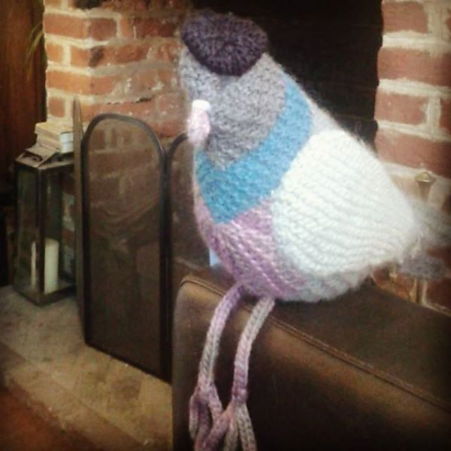 Pascal the Parisian Pigeon