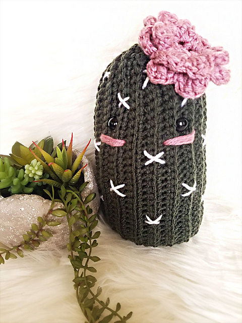 Cali The Cactus