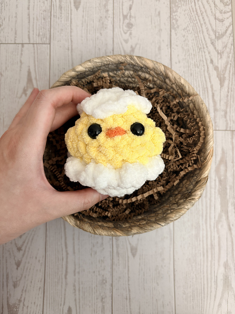 Hatchling Chick