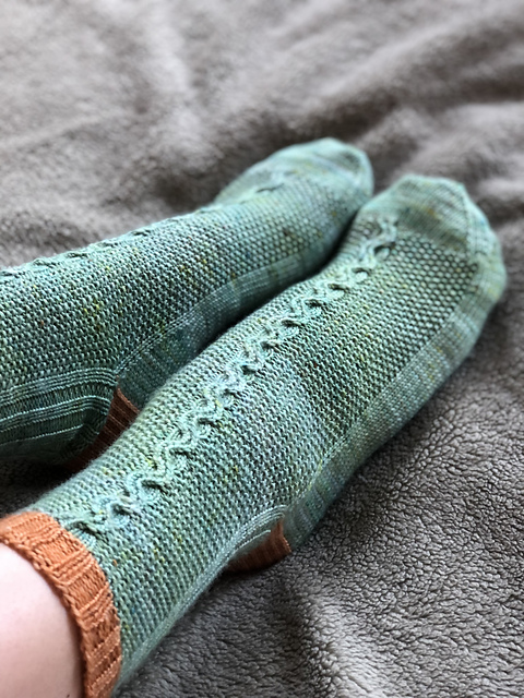 Bacino Socks