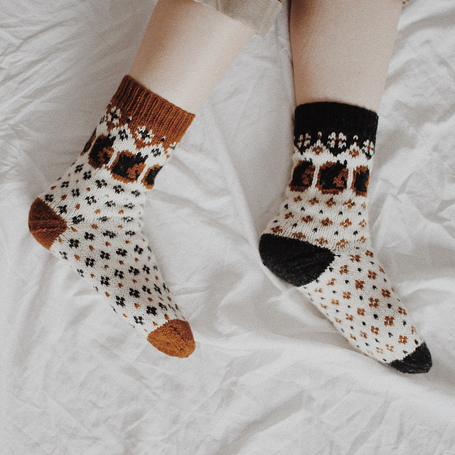 nocturnal sock