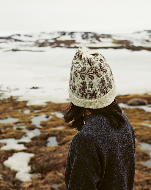 alpinepaca hat