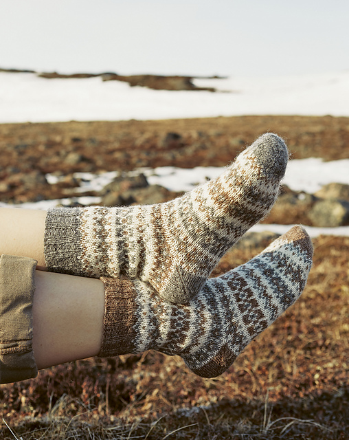 dorset socks