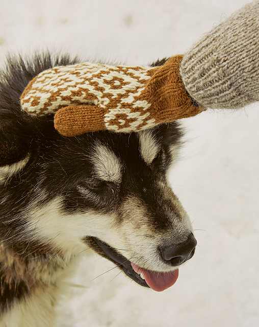 arktos mittens