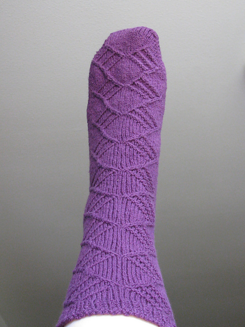 Professor Socks