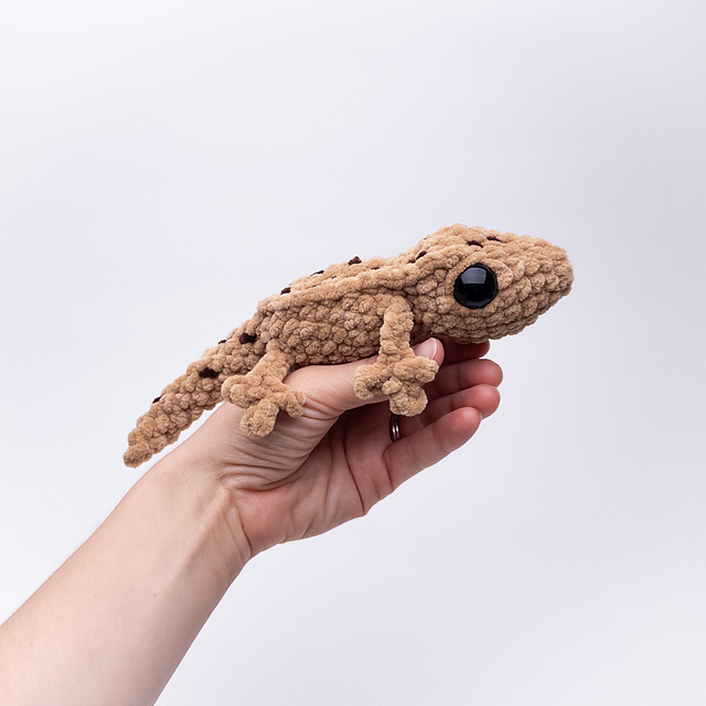 Gavin the  Gecko