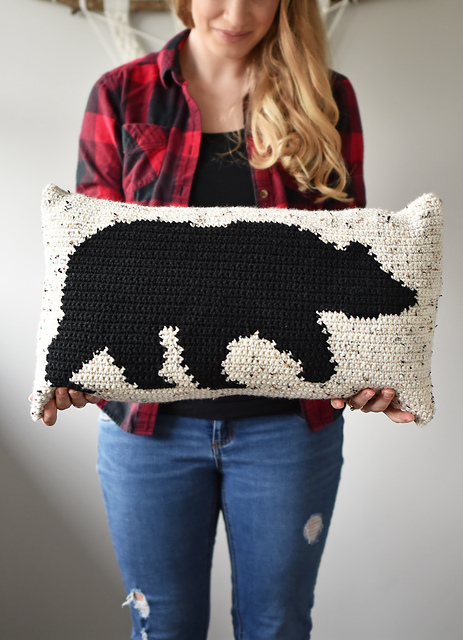 A Beary Comfy Pillow