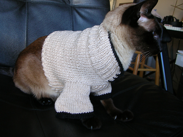 Felis Felix Mandarin Cat Sweater