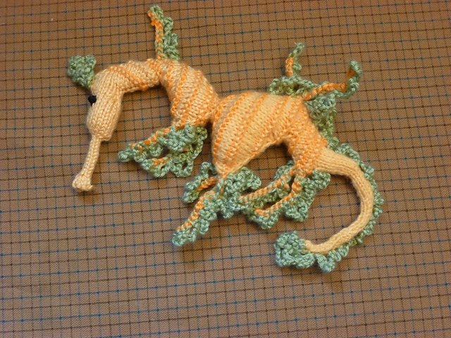 Leafy Seadragon