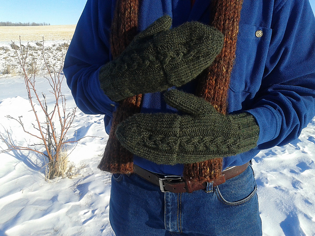 Convertible Dad Mittens