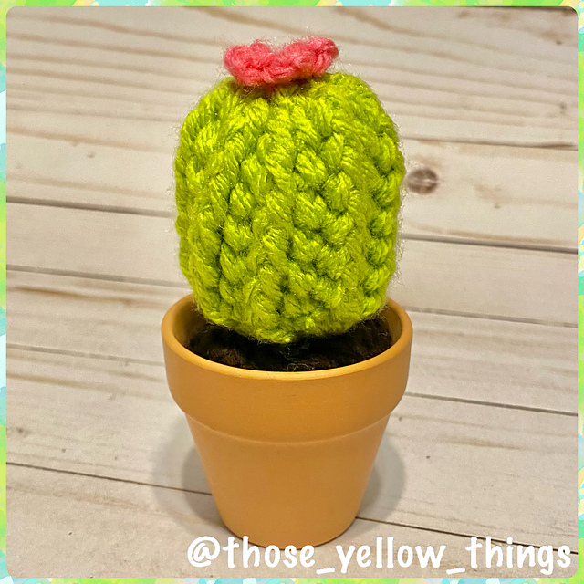 Mini Barrel Cactus