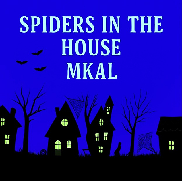 Spiders in the House