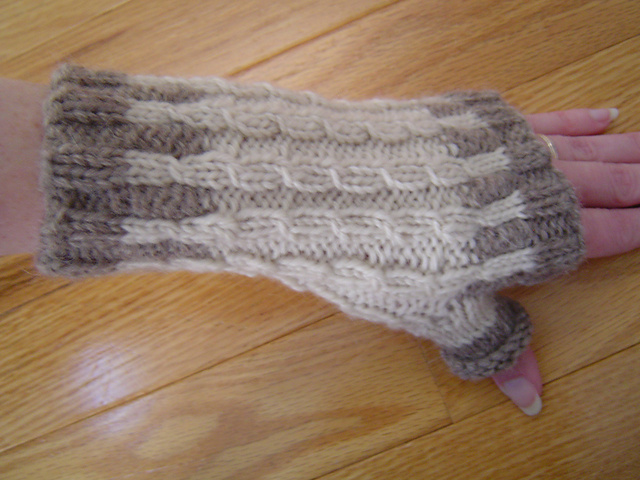 Winter Birch Mitts