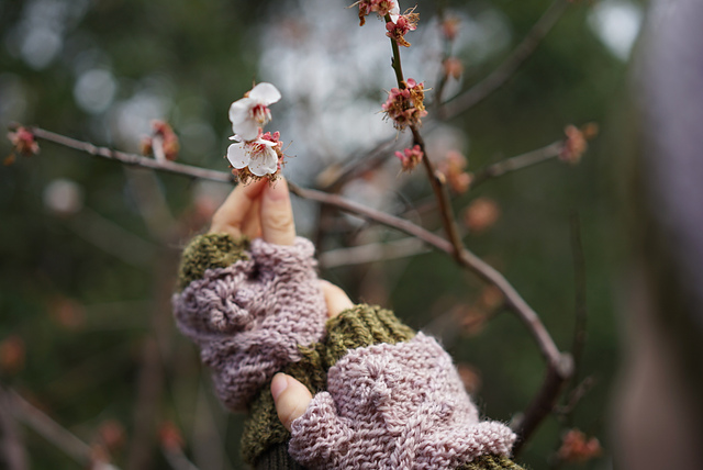 Plum Blossom Hand Warmers