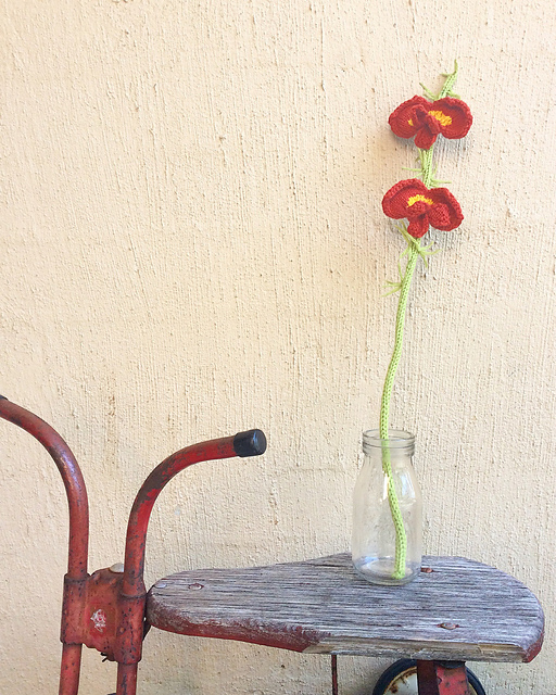 Red Parrot Pea