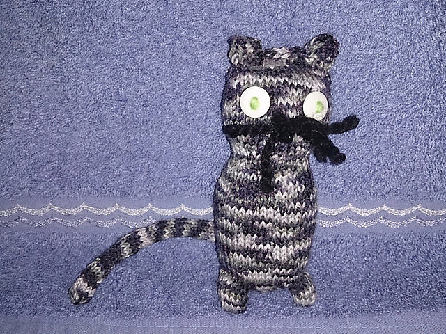 Katze Tilly