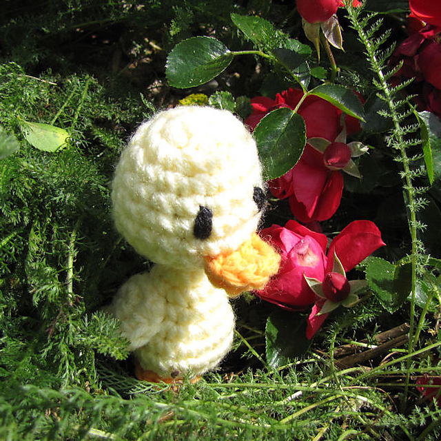 Spring Duckling