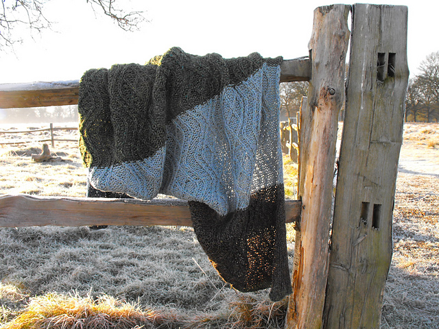 cover up blanket