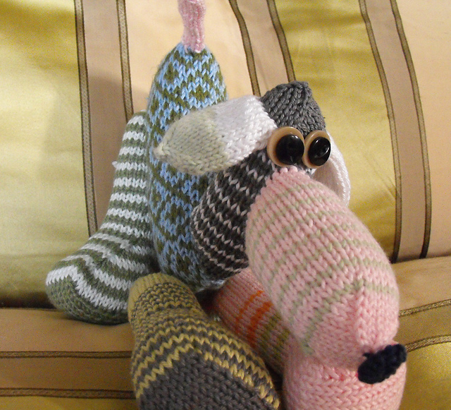 teddy dog Sherlock
