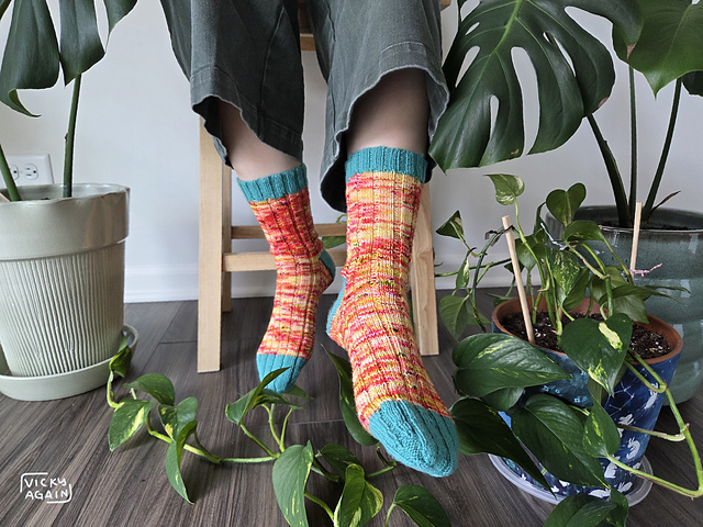 Photographs of legs with socks on them in front of a stool surrounded by plants. The socks have a cyan offset color for cuff, toe, and heel, and then a variegated neon red, yellow, pink color for the body. They are ribbed all the way down. These are top-down socks.