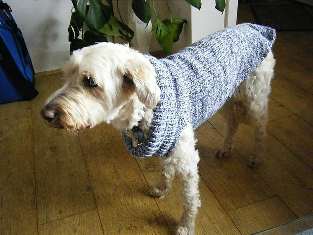 Dougal's Roll Neck Dog Jumper