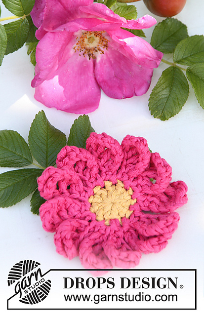 147-58 Rosehip