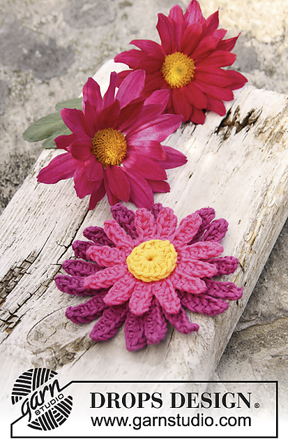 147-47 Dahlia