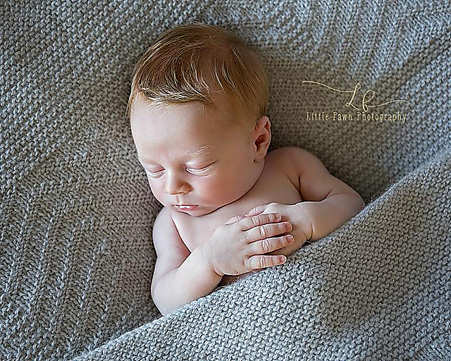 Fledgling Blanket