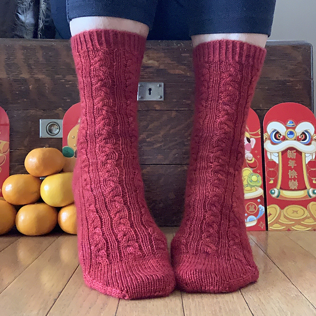 Year of the Snake Socks