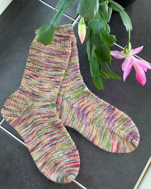 Scattered Seeds Socks