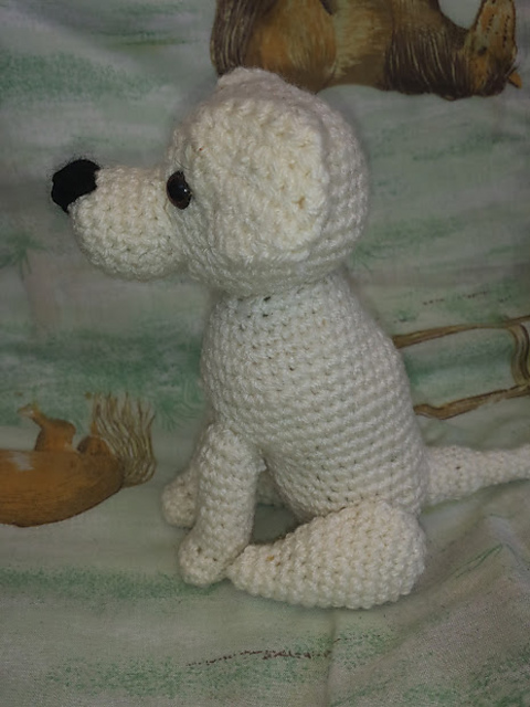 Labrador retriever