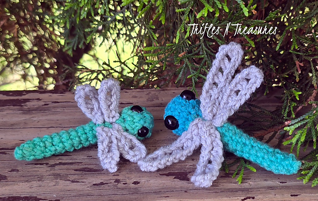 Dragonfly Duo