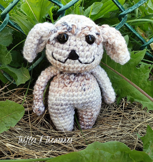 Wandering Wood Nymph