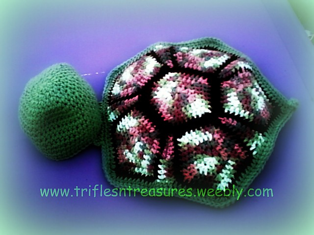 Baby Turtle Snuggle Set