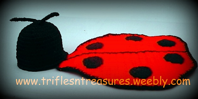 Ladybug Snuggle Set