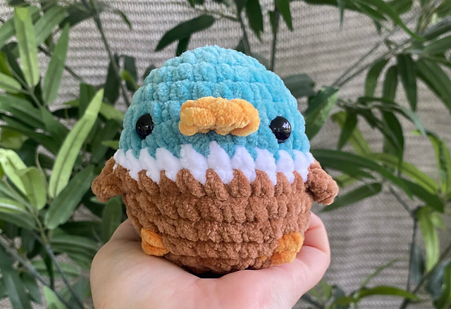 Duck