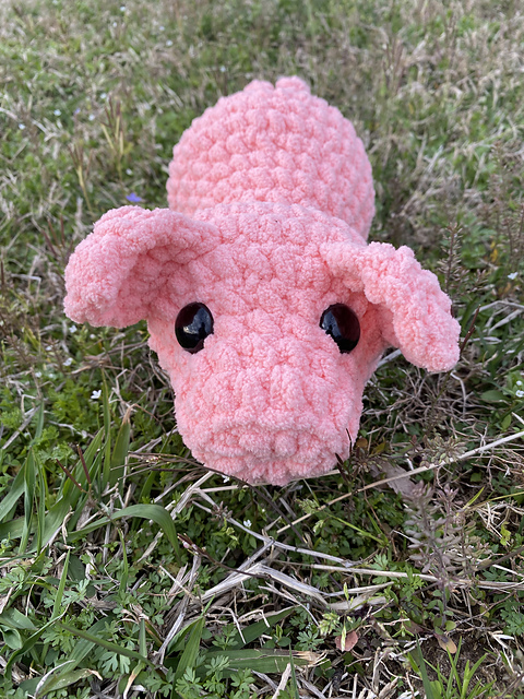 Petal Pig