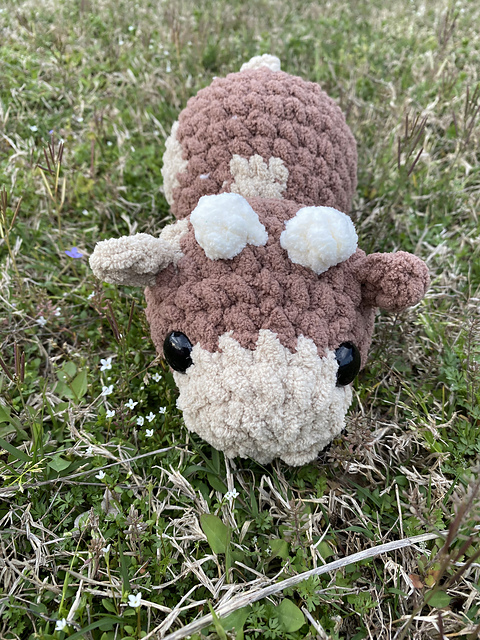 Codi Cow