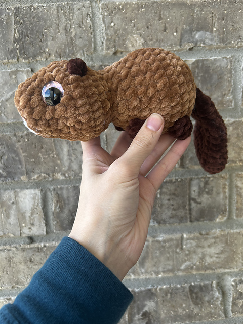 Baxter Beaver
